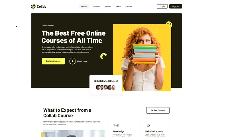 University & Higher Education